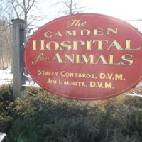 The Camden Hospital for Animals ico