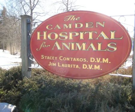 The Camden Hospital for Animals