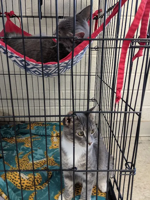 Sheets Pet Clinic Picture 6