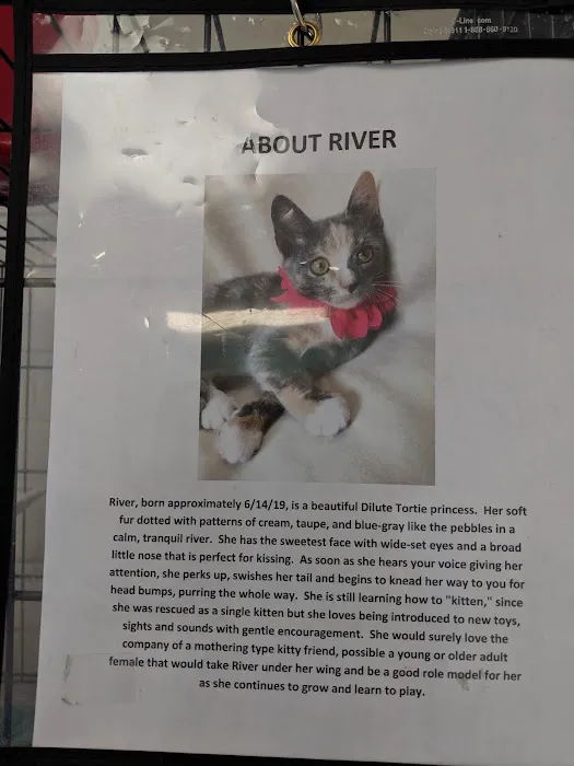 Sheets Pet Clinic Picture 4