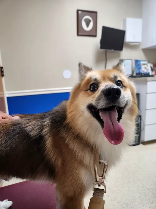 Sheets Pet Clinic Picture 8