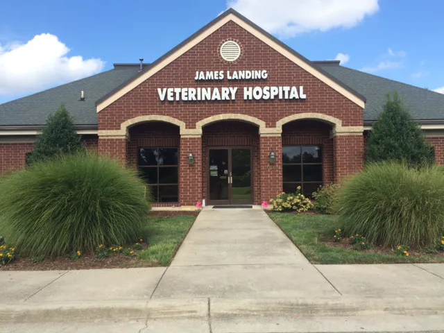 James Landing Veterinary Hospital Picture 5