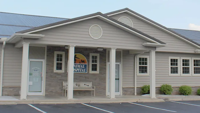 Animal Hospital of Wilkes Picture 1