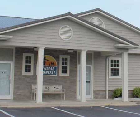 Animal Hospital of Wilkes