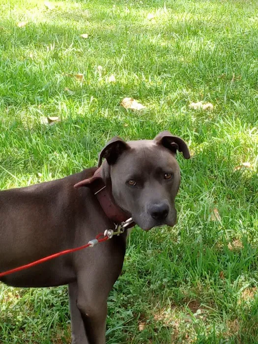 Alexander County Veterinary Picture 3