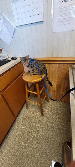 Alexander County Veterinary Picture 7