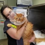 Troutman Animal Hospital