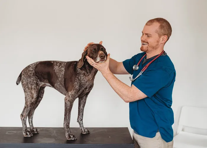 Angelcare Veterinary Hospital Picture 2