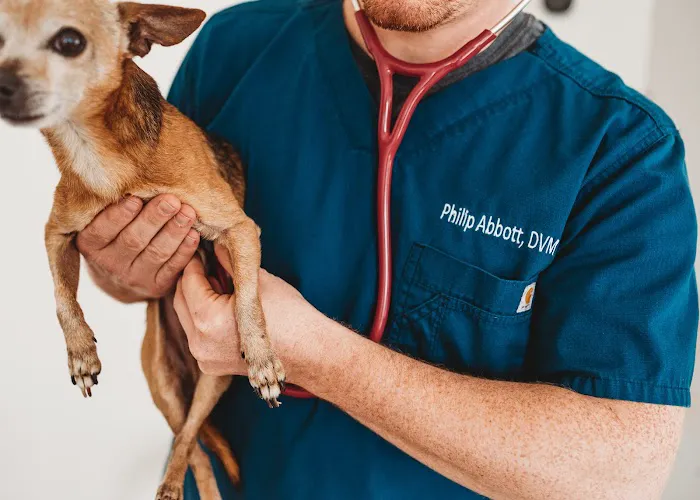Angelcare Veterinary Hospital Picture 6