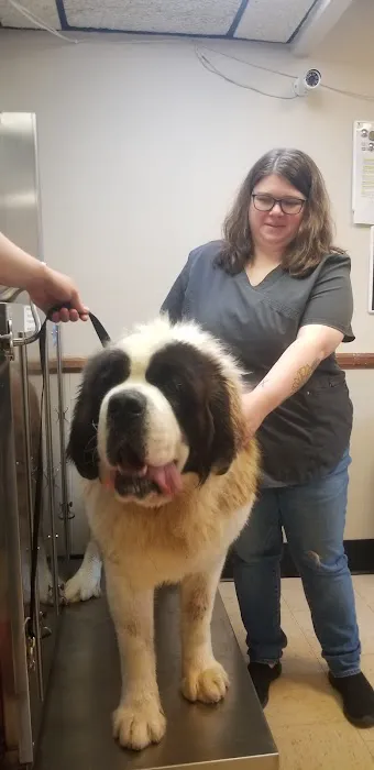 Stony Point Animal Clinic Picture 7