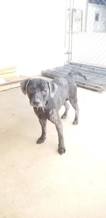 Stony Point Animal Clinic Picture 6
