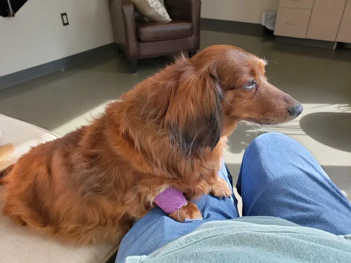 Rowan Animal Clinic Picture 5