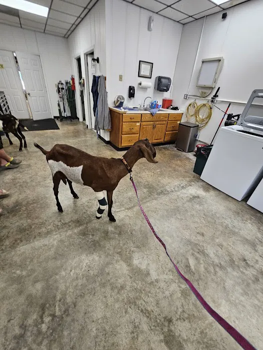 Lexington Large Animal Medicine & Surgery Picture 2
