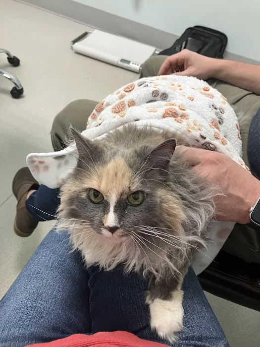 Appalachian New River Veterinary Associates Picture 3