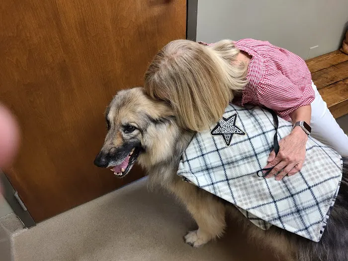 Pet Care Clinic of the High Country Picture 5