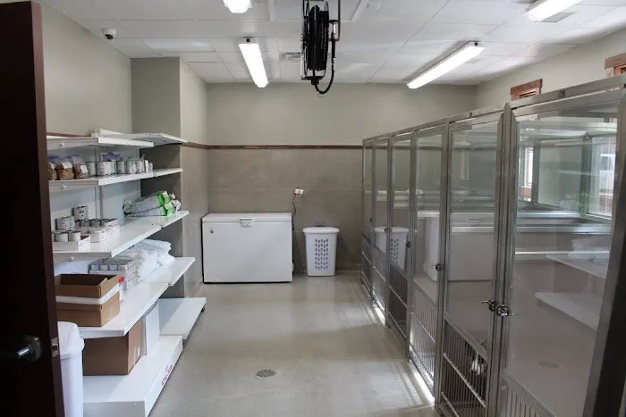 Pet Care Clinic of the High Country Picture 6