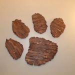 Pet Care Clinic of the High Country