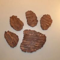 Pet Care Clinic of the High Country ico