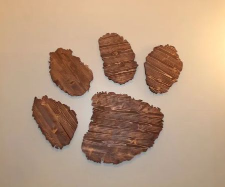Pet Care Clinic of the High Country