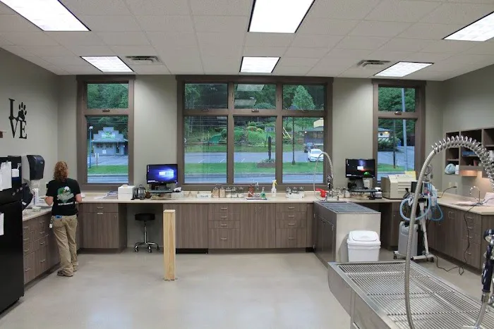 Pet Care Clinic of the High Country Picture 8