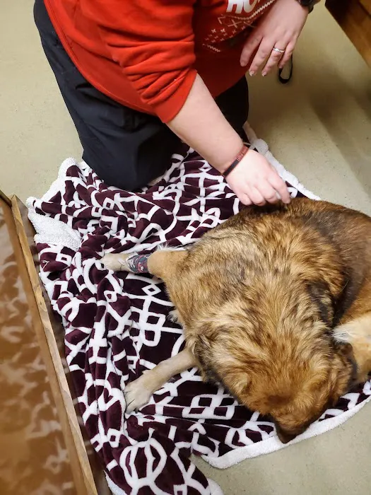 Animal Emergency Clinic of the High Country Picture 1