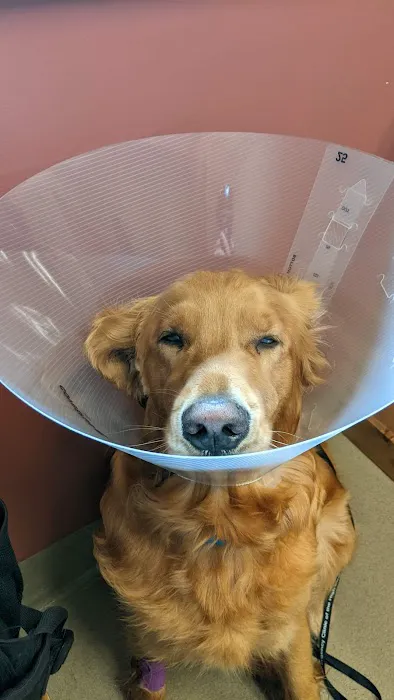 Animal Emergency Clinic of the High Country Picture 9