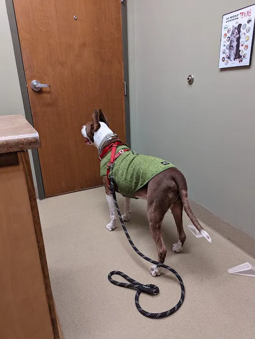 Animal Emergency Clinic of the High Country Picture 2