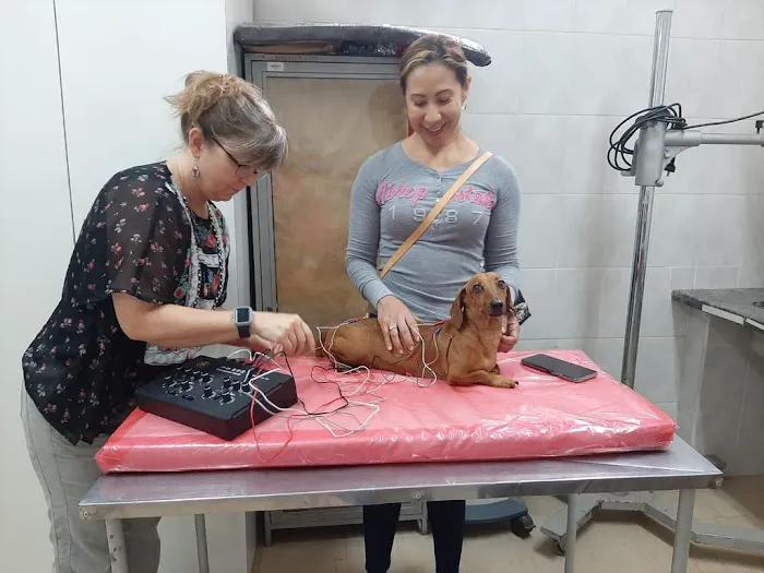 BALANCE Integrative Veterinary Clinic Picture 1