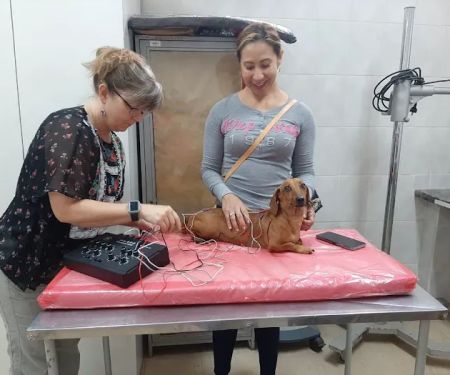 BALANCE Integrative Veterinary Clinic