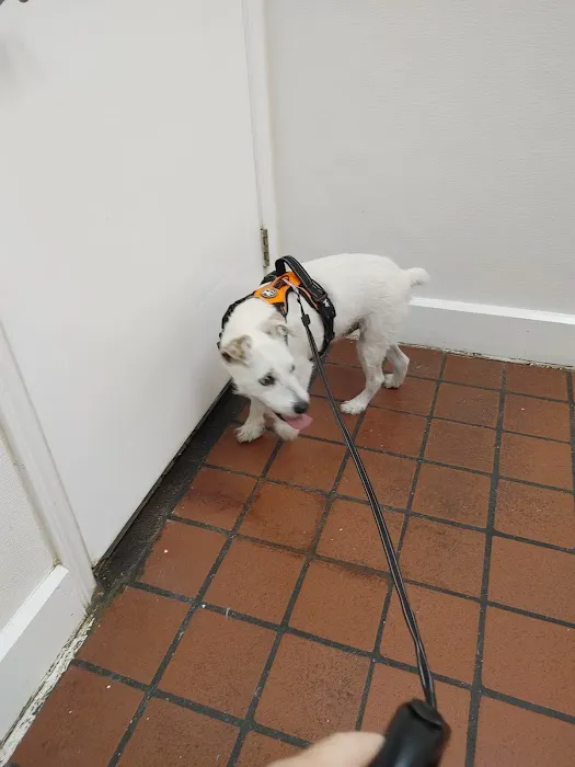 North Davidson Veterinary Hospital Picture 1