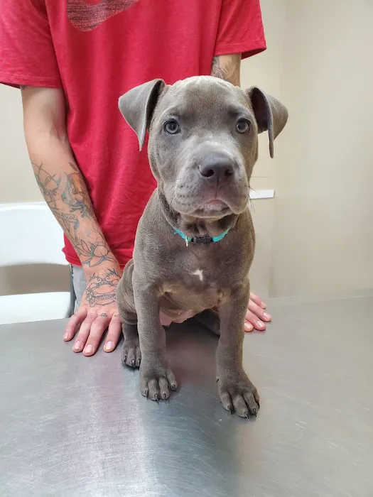 North Davidson Veterinary Hospital Picture 10