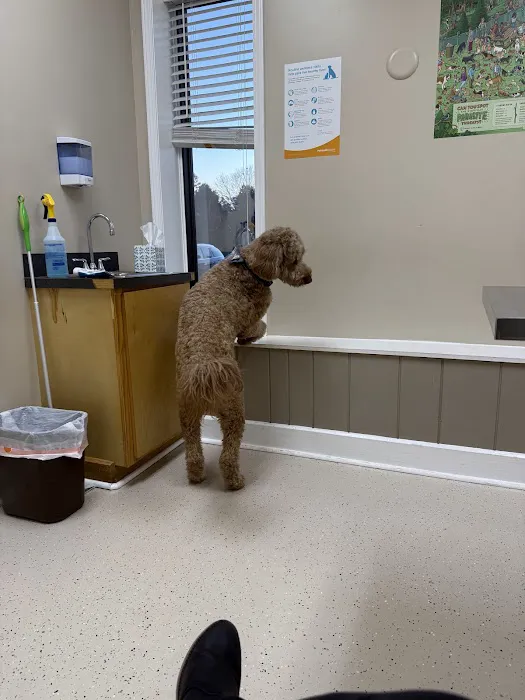 North Davidson Veterinary Hospital Picture 9