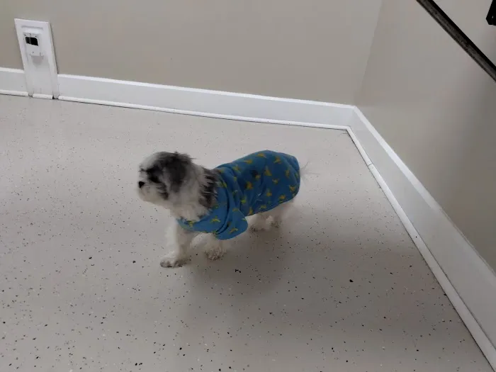 North Davidson Veterinary Hospital Picture 7