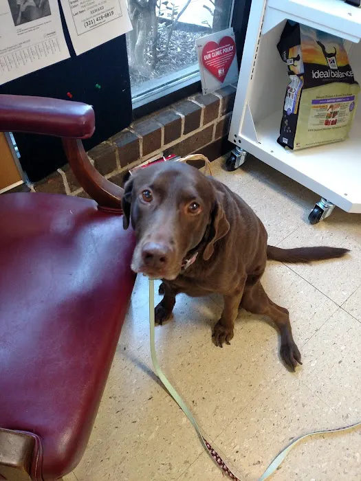 Center Veterinary Hospital Picture 9