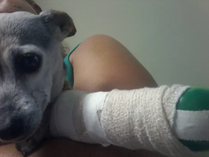 Center Veterinary Hospital Picture 3