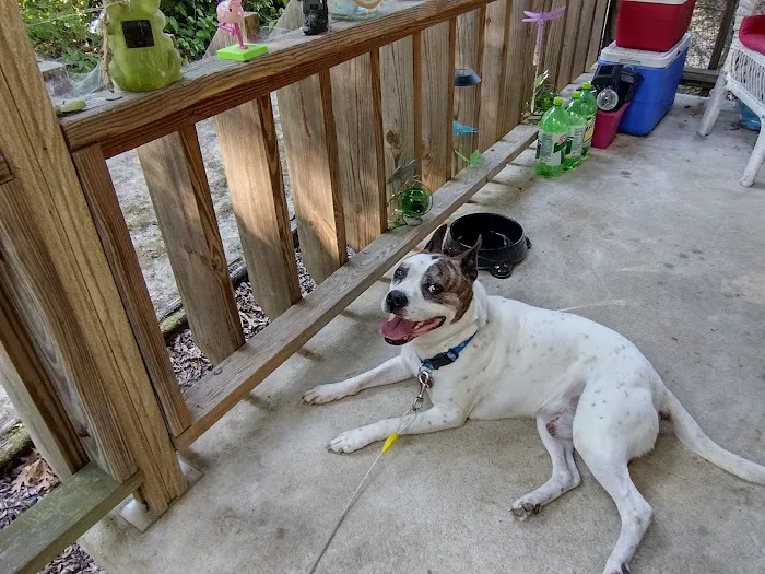 Total Care Veterinary Hospital Picture 5