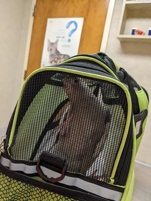 Total Care Veterinary Hospital Picture 2