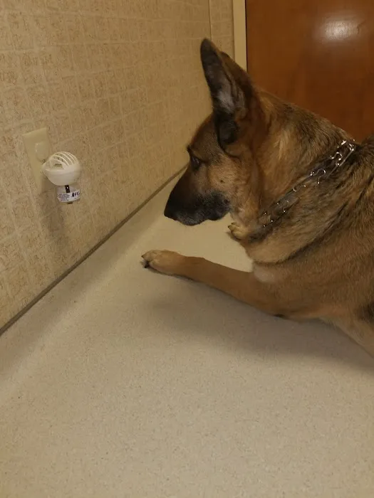Total Care Veterinary Hospital Picture 8