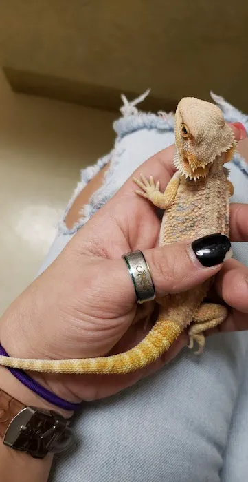 Total Care Veterinary Hospital Picture 9
