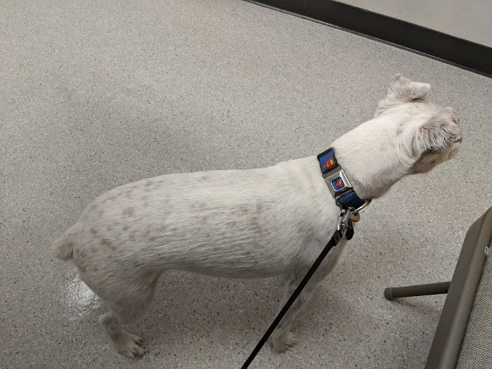 High Point Veterinary Hospital Picture 9