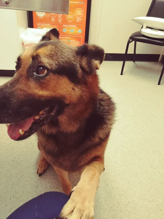 High Point Veterinary Hospital Picture 2