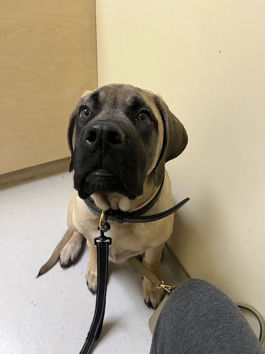 Skeet Club Veterinary Hospital Picture 5