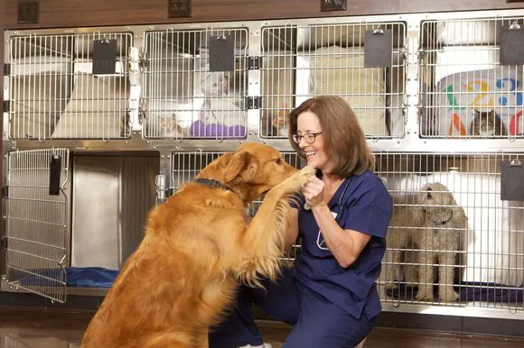 Deep River Veterinary Hospital Picture 8