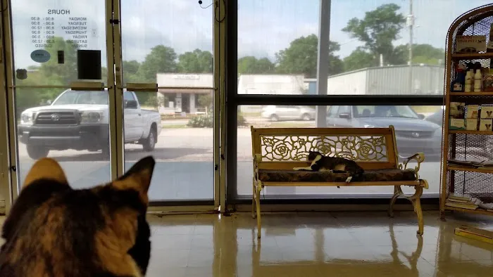 Tar River Veterinary Hospital Picture 8