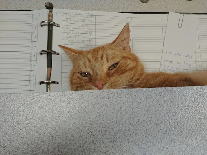 Large Animal Veterinary Services Picture 2