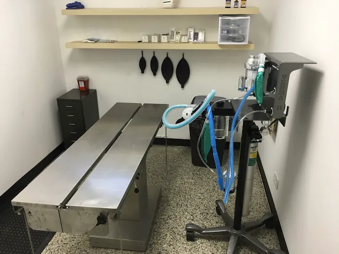 Youngsville Animal Hospital Picture 7
