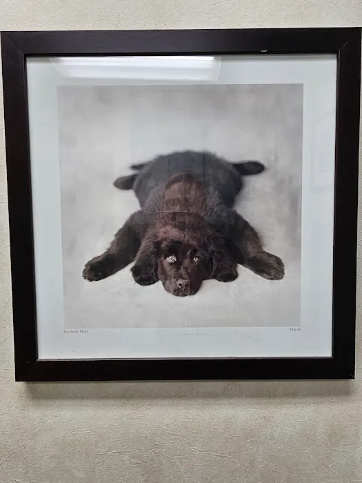 Bayleaf Veterinary Hospital Picture 3