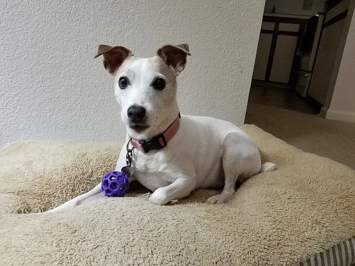 Bayleaf Veterinary Hospital Picture 10