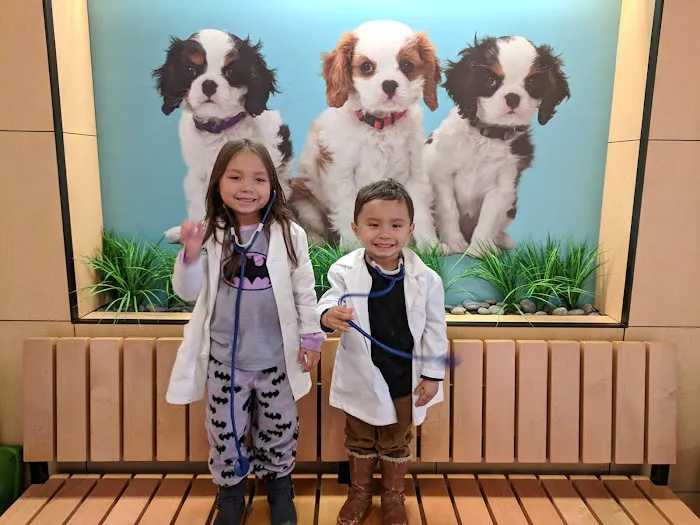 Banfield Pet Hospital Picture 5