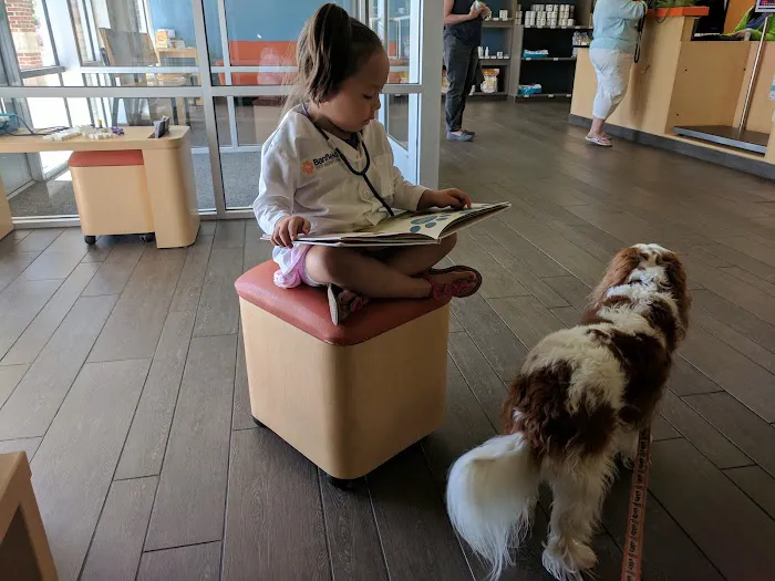 Banfield Pet Hospital Picture 8